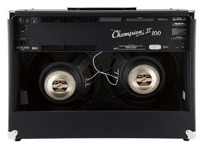 AMPLIFICADOR CHAMPION II 25 120V MOD. TGPH24011803