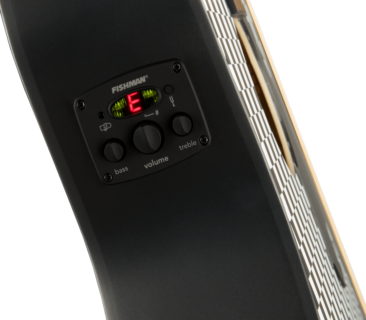 GUITARRA ELECTROACUSTICA TIM HELLCAT BPG CHCK