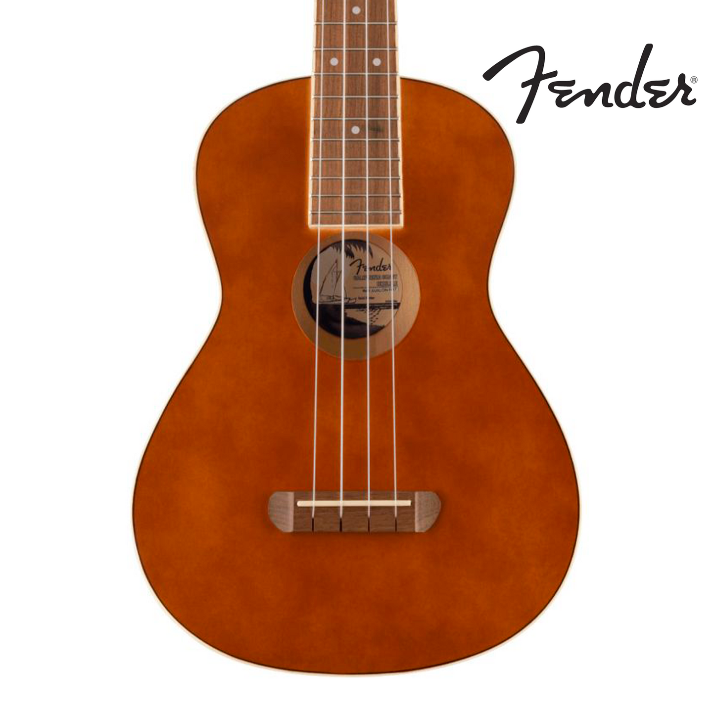 UKULELE AVALON TENOR NAT WN