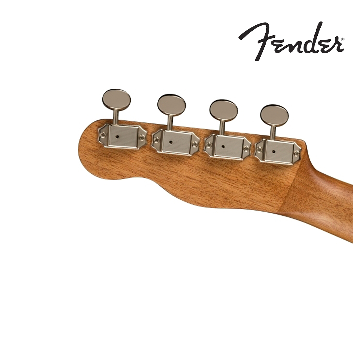 UKULELE ZUMA CONCERT SPALTED WN