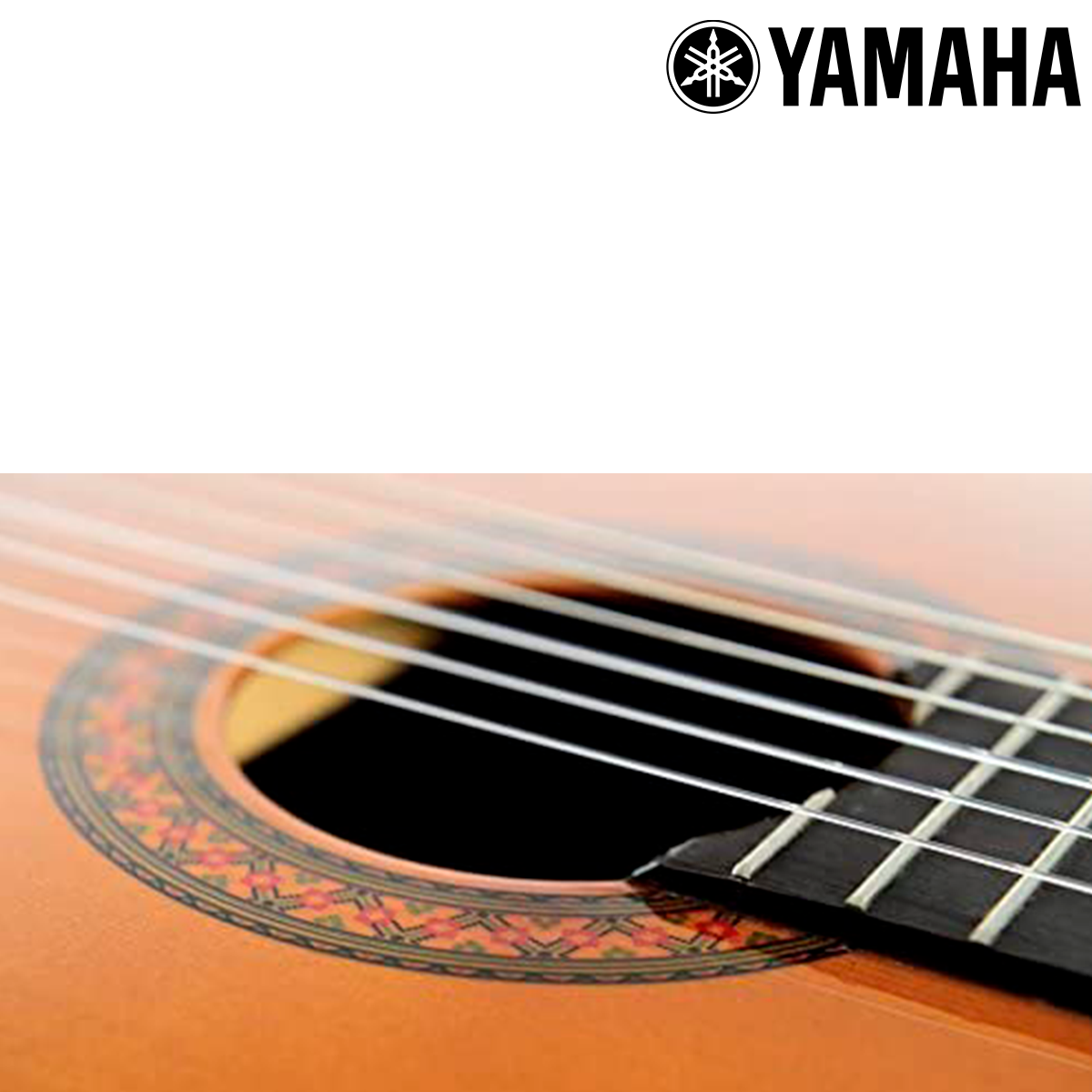 GUITARRA CLASICA C/ACABADO C40/02