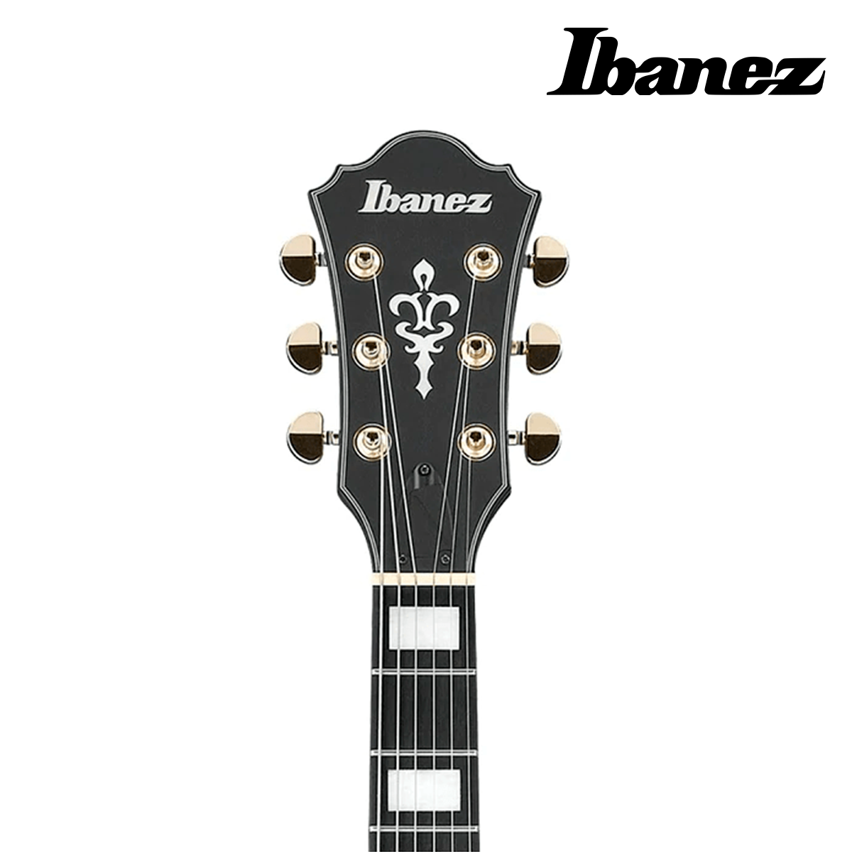 GUITARRA ELECTRICA IBANEZ "ARTCORE EXPRESSIONIST" NEGRO MATE