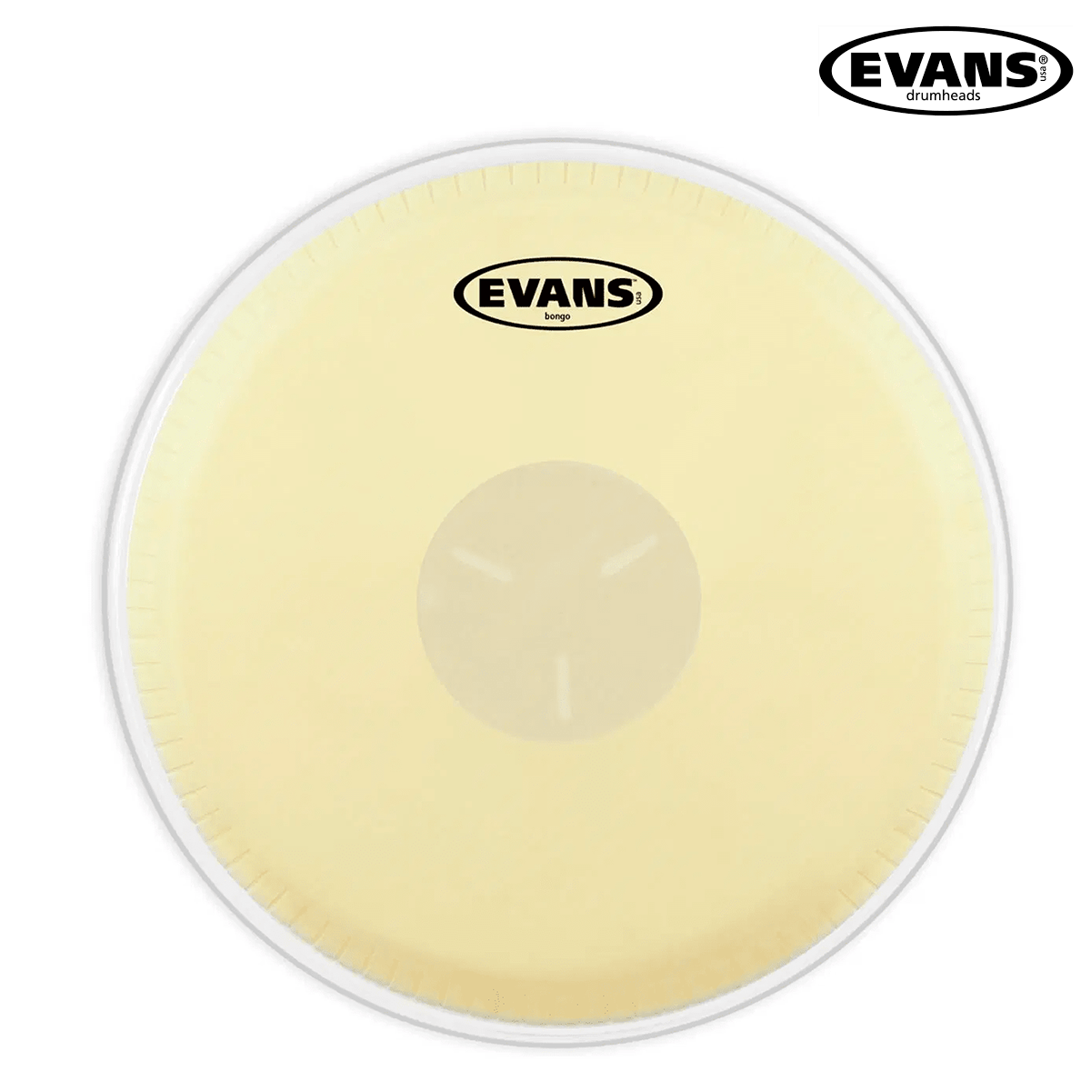 PARCHE EVANS P/BONGO EB-09
