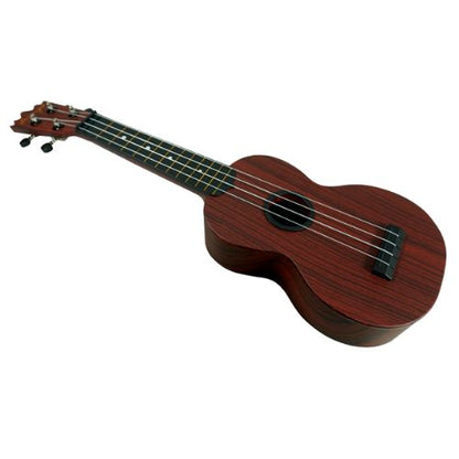 DANNY UKES "UKULELE 21"(SOPRANO) COLOR CAFE OBSCURO