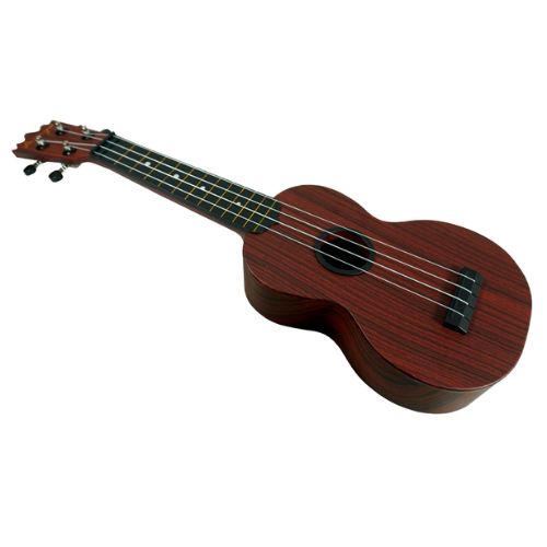 DANNY UKES "UKULELE 21"(SOPRANO) COLOR CAFE OBSCURO