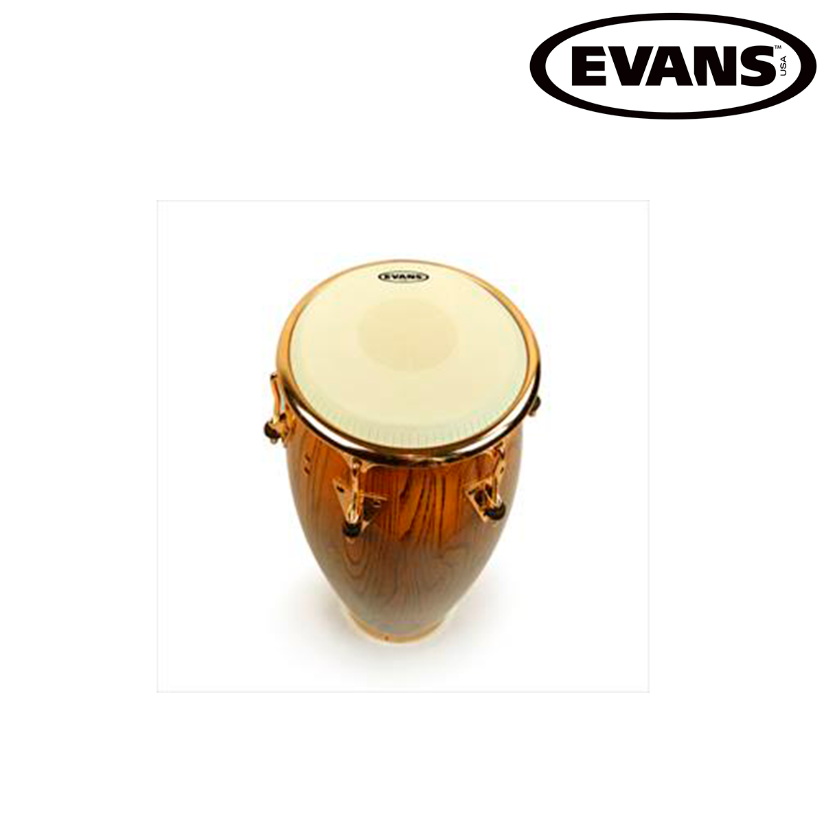PARCHE EVANS P/CONGA EC1100