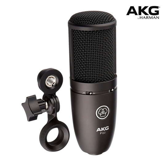 MICROFONO DE ESTUDIO SERIE PERCEPTION P120