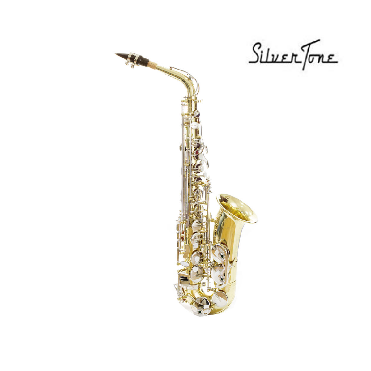 Tenor Instrumento SAXOFON TENOR LAQUEADO TS-100L SILV SLSX024 – Equipos Musicales y ...